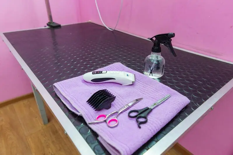 Аконит, ветеринарная клиника