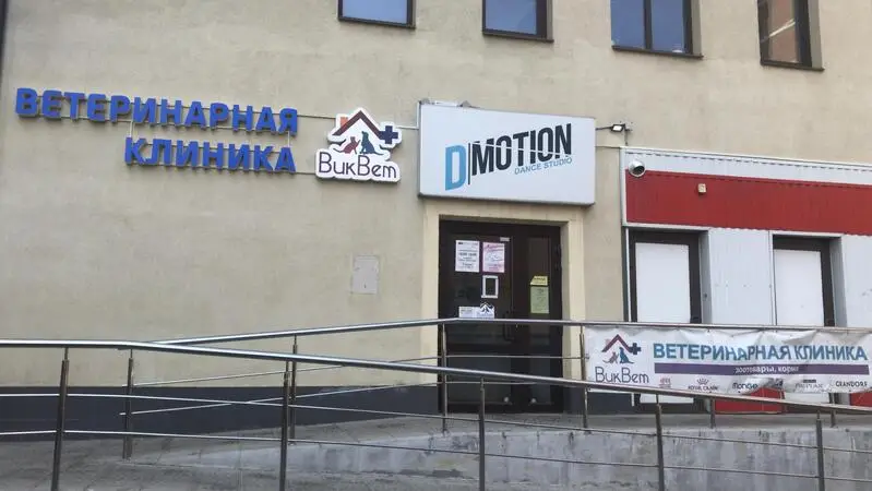 Виквет, ветеринарная клиника