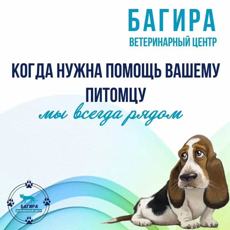 Ветеринарный центр Багира на Советской улице, 31