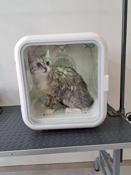 Зоосалон Лоя