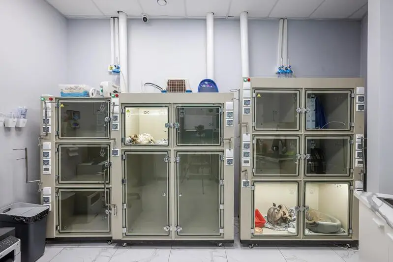 Доктор Дулиттл, ветеринарная клиника