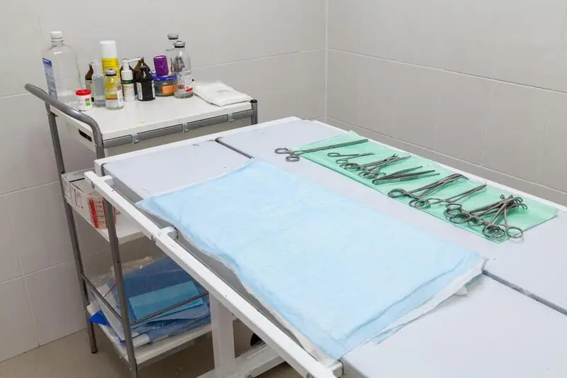 Хатико, ветеринарная клиника