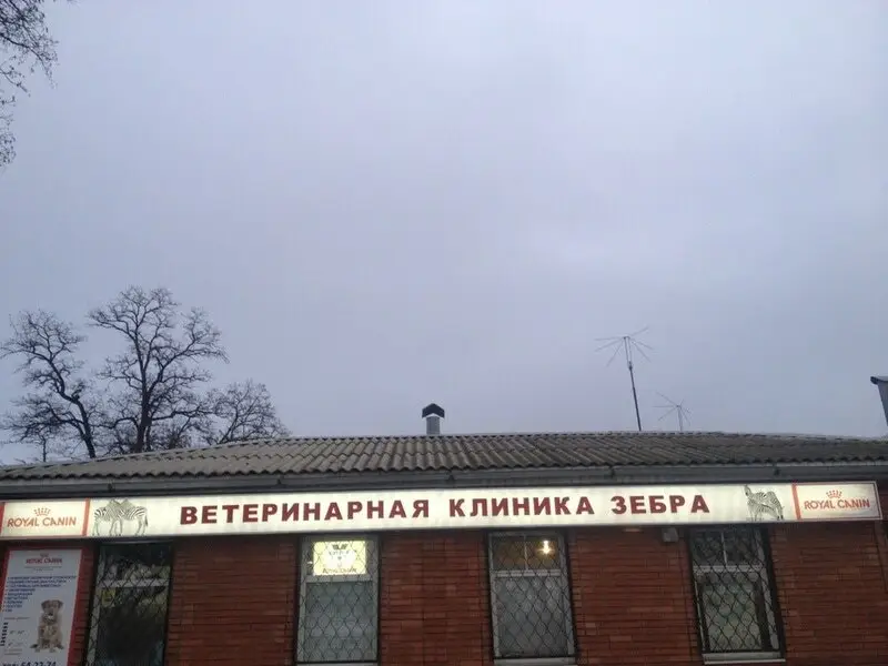 Зебра, ветеринарный центр