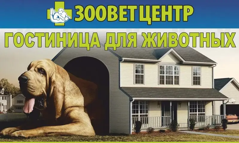 Зооветцентр ветеринарный кабинет для здоровых животных