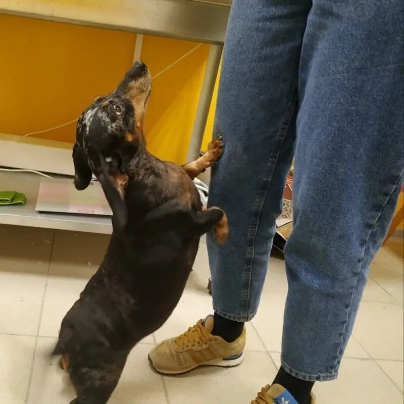 Бион, зооцентр