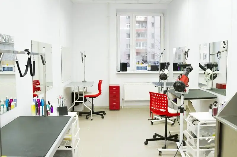 Зоосалон iPet