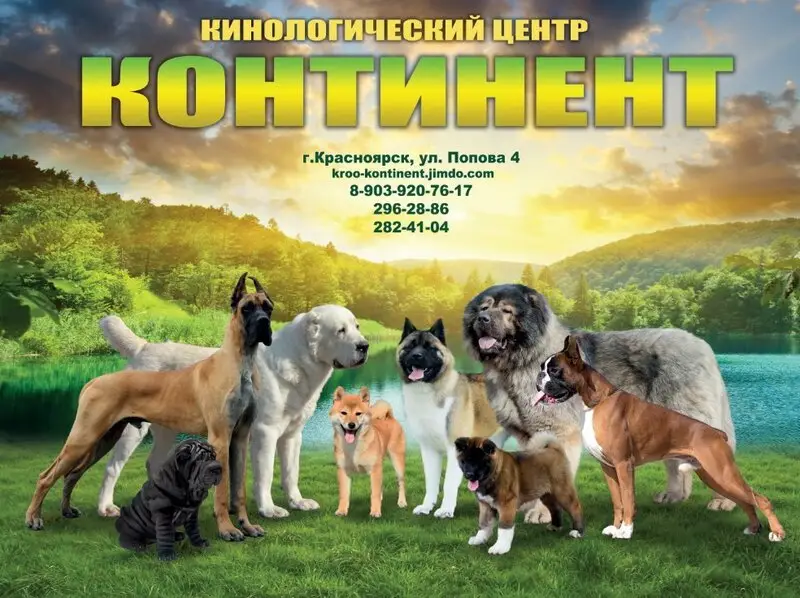 Клуб собаководства Континент