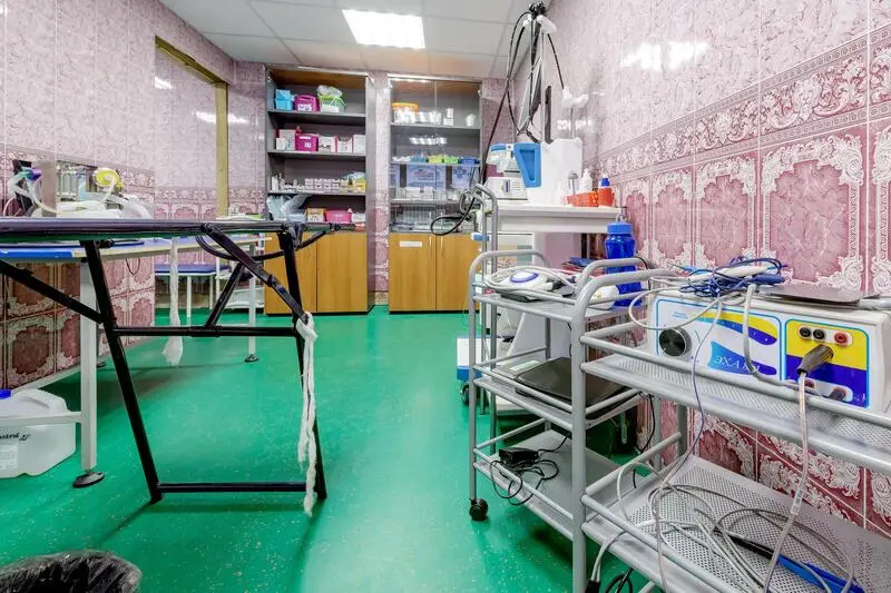 Ягуар, ветеринарный центр