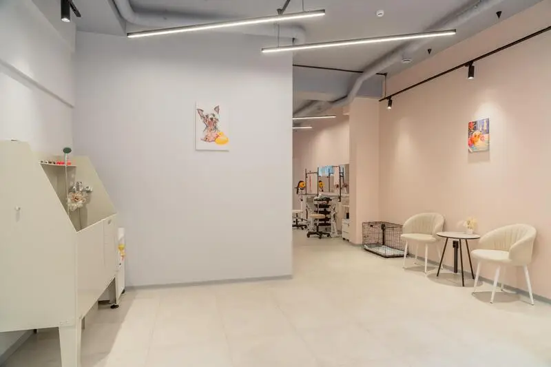 Салон груминга Грумми