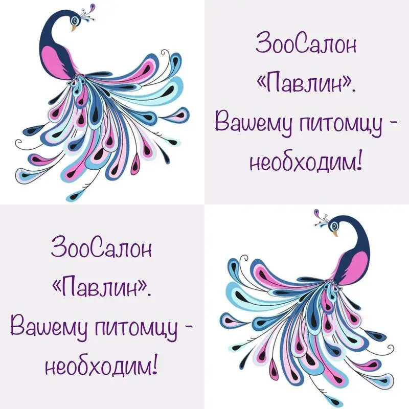 Зоосалон Павлин