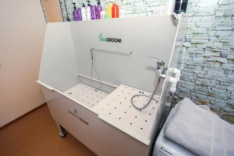 Студия груминга