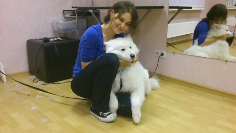 Зоопарикмахерская Puppy на Ленинском проспекте
