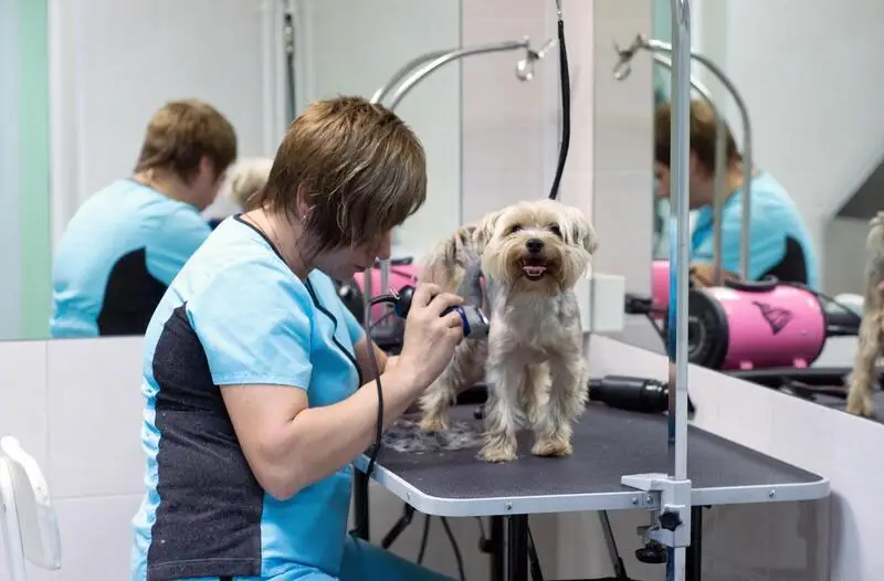 Марфино, зооцентр