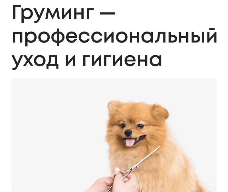 Груминг-салон Счастливый зверь