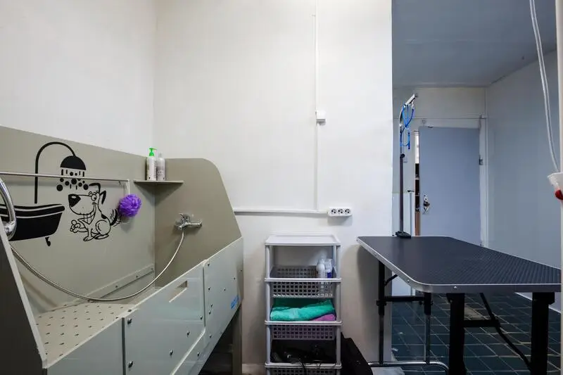 Мокрый нос, клиника