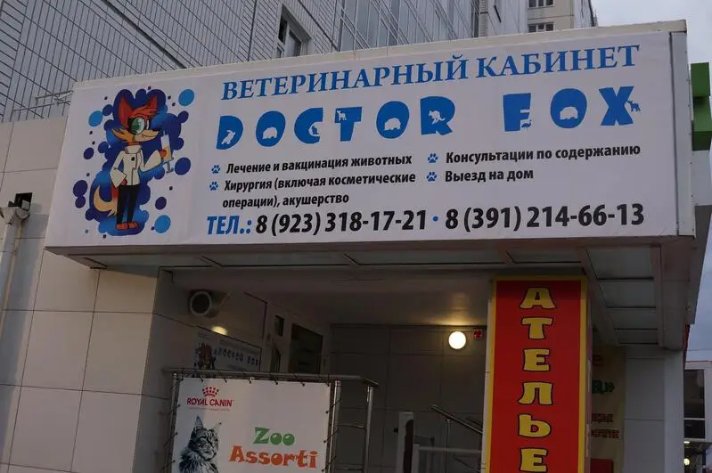 Доктор Фокс, ветеринарный кабинет