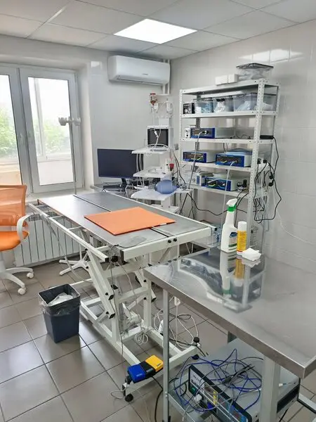 Ветеринарная клиника Мы