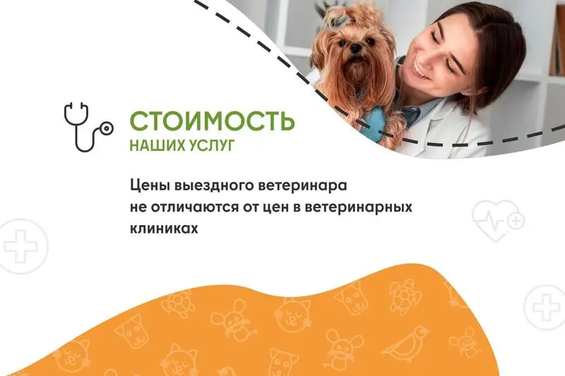 Ветеринарная служба ВетСкорая24 в Электростали