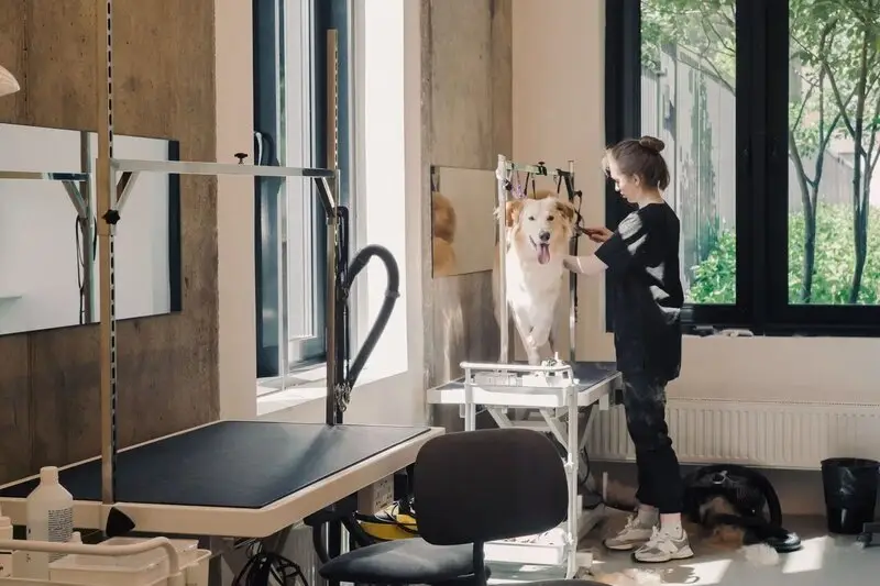 Зоопарикмахерская Doodles