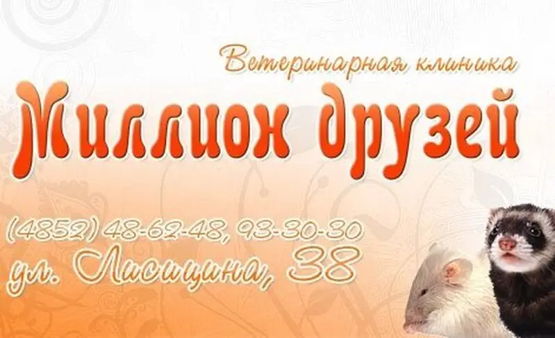Миллион Друзей, ветеринарный центр