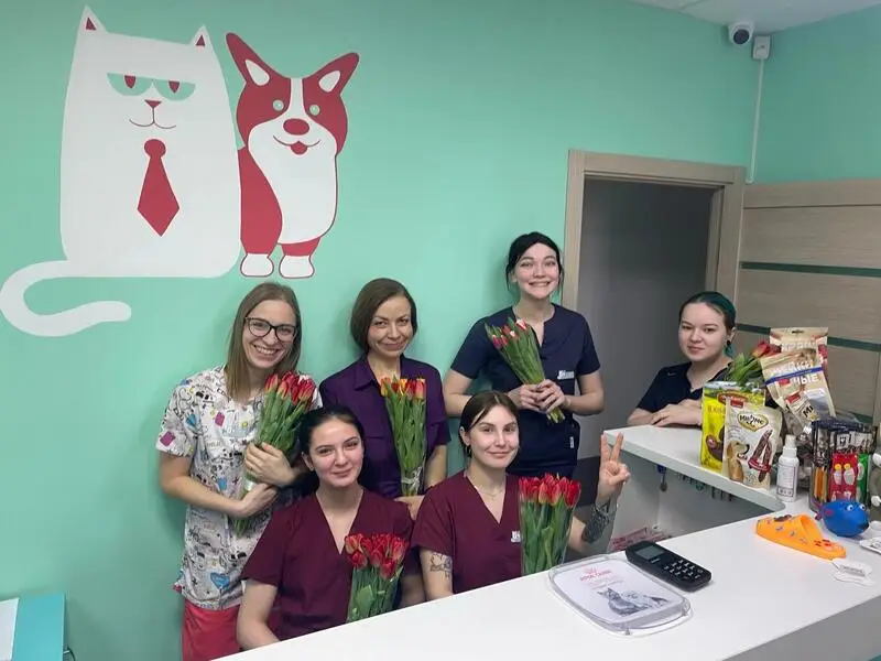 В Мире Животных, ветеринарная клиника
