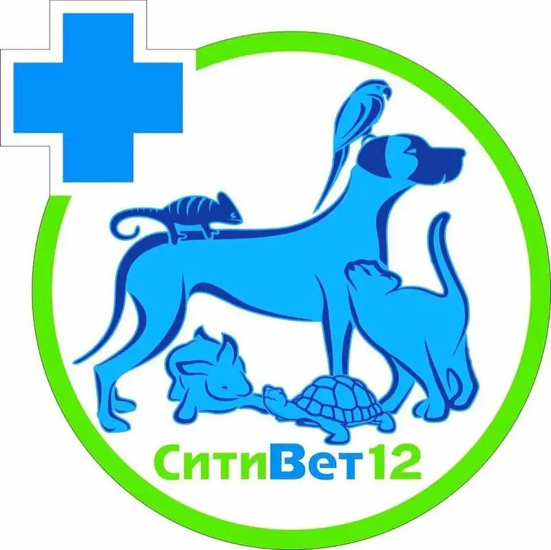 СитиВет12, ветеринарная клиника