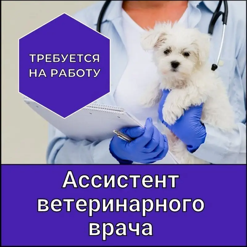 Ваш ветеринар, ветеринарный центр