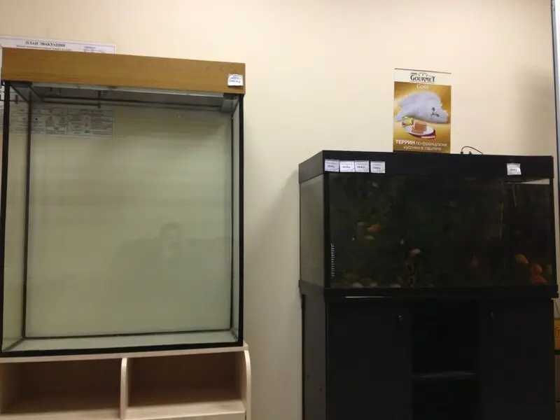 ХвостУшки, зооцентр