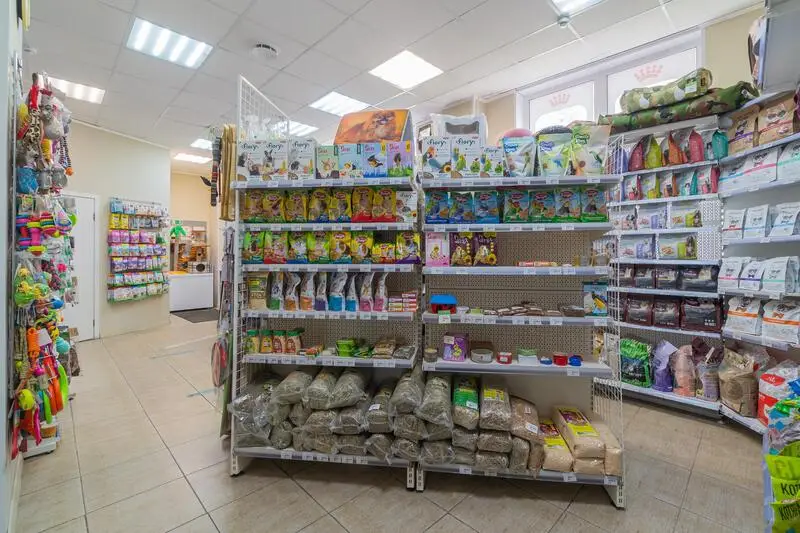 Манул, ветеринарная клиника