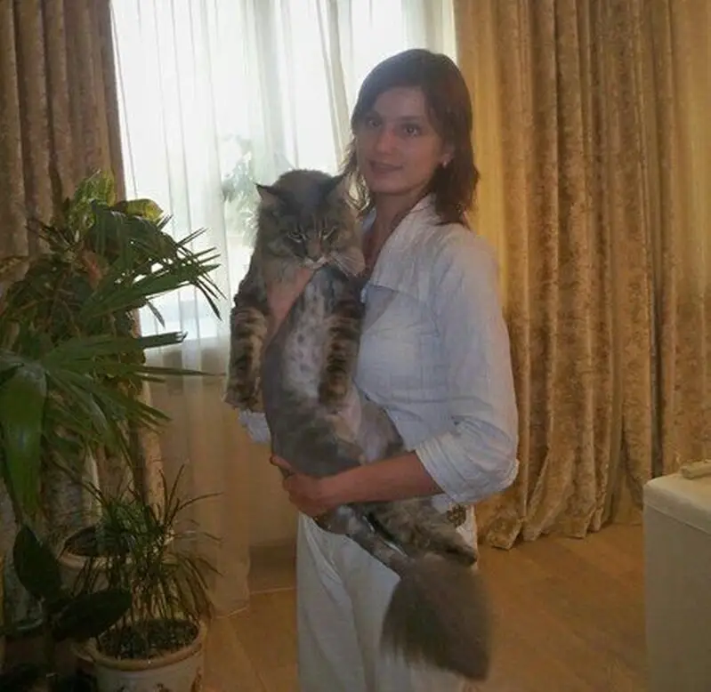 Zoohelp, ветеринарный сервис