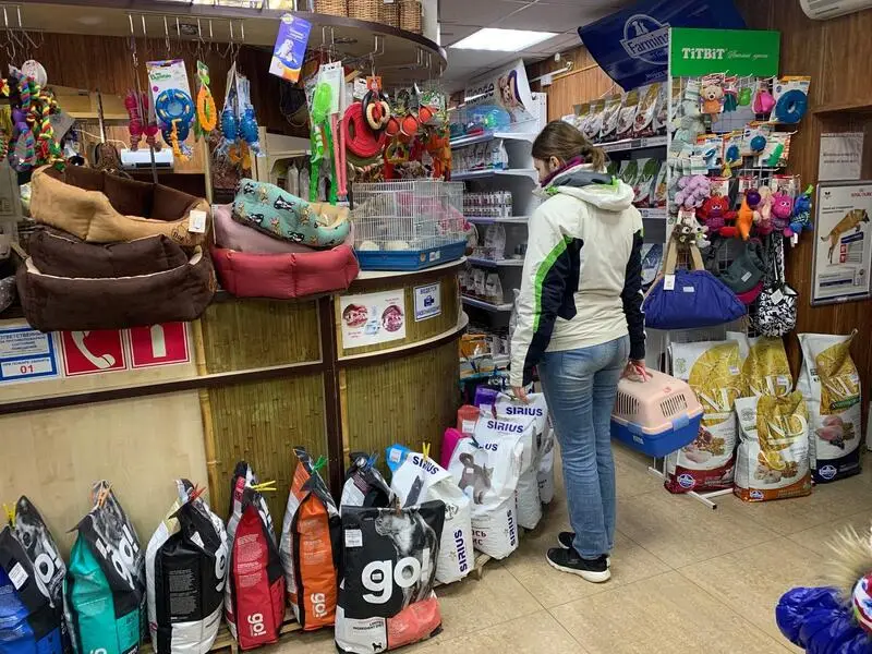 Багира, ветеринарный центр