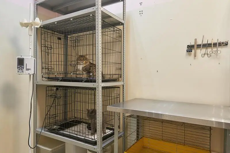 Ковчег, ветеринарная клиника