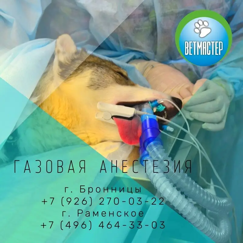 Ветмастер, ветеринарный центр