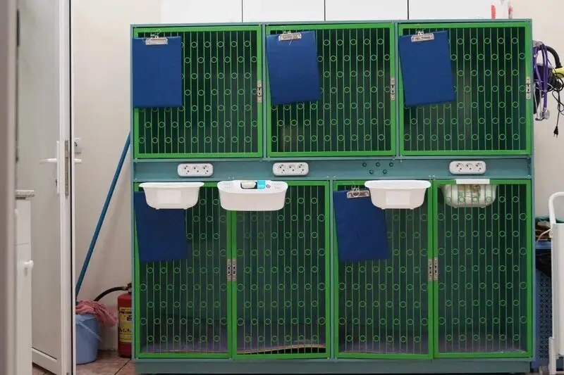 Ноев ковчег, ветеринарный центр