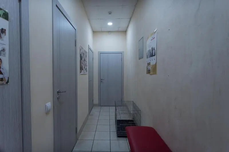 Артемида, ветеринарная клиника