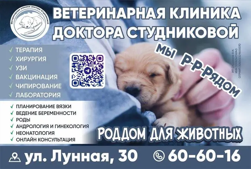 Ветеринарная клиника доктора Студниковой