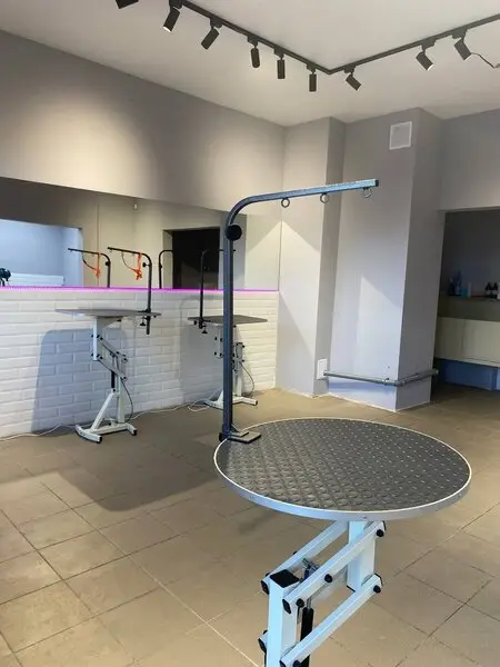 Груминг-салон Lapki Groom