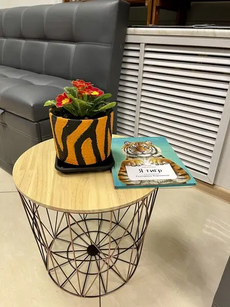 Шерхан, ветеринарная клиника