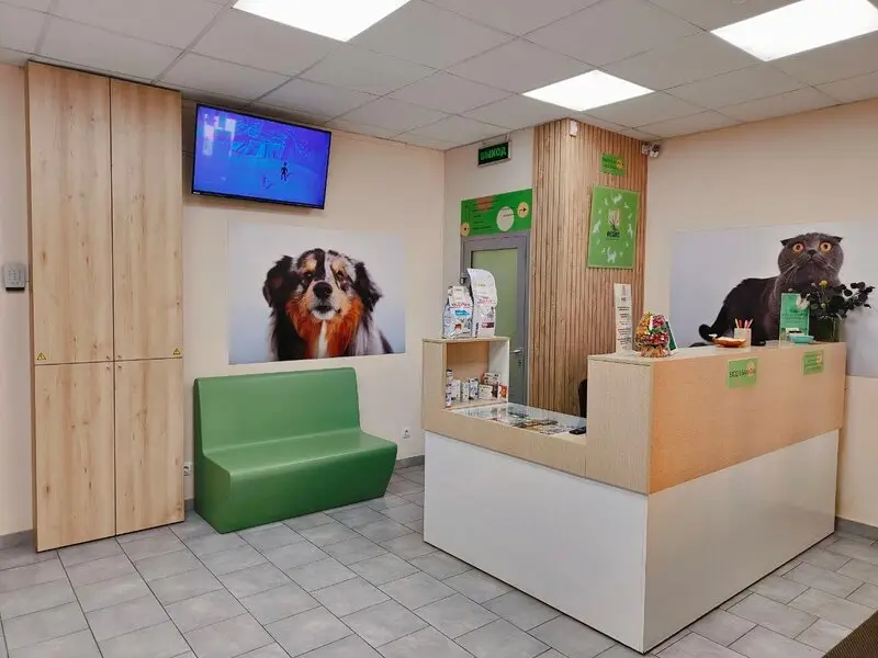 Феликс, ветеринарная клиника