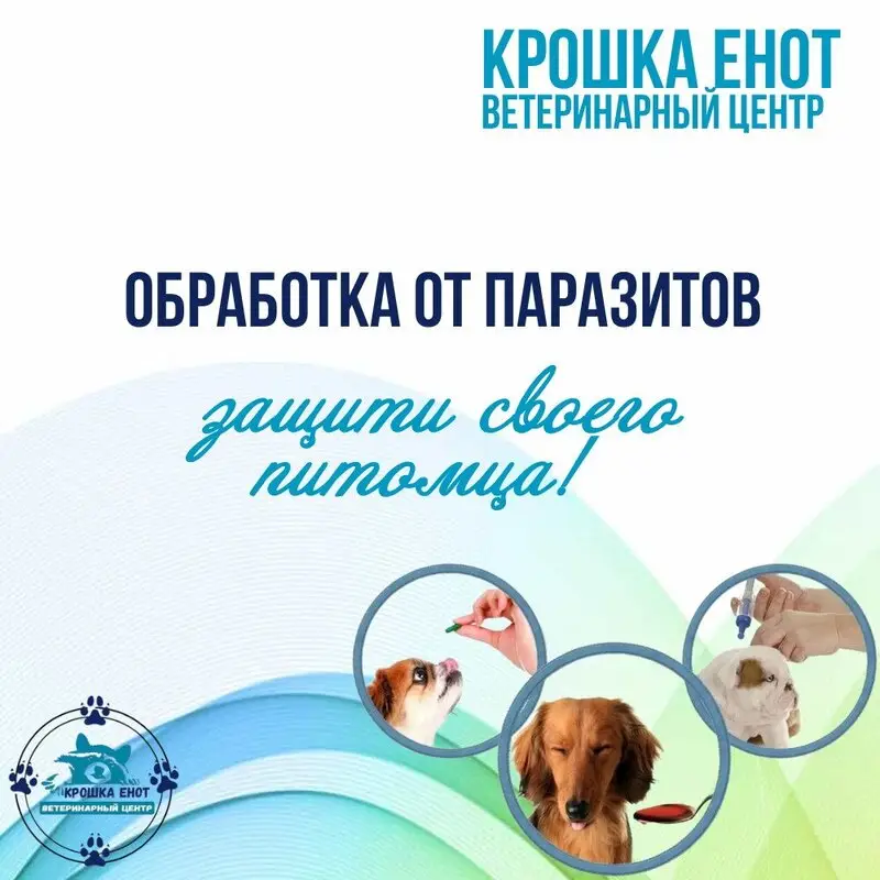 Ветеринарный центр Крошка Енот в ТЦ Котово Поле