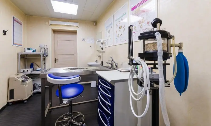 Клевер, ветеринарная клиника