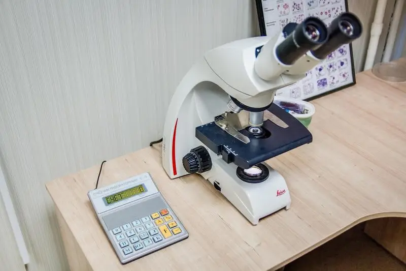 Панда, ветеринарная клиника