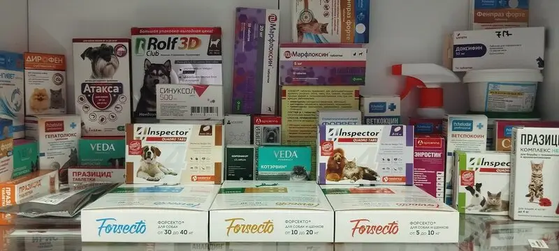 Фламинго, ветеринарная клиника