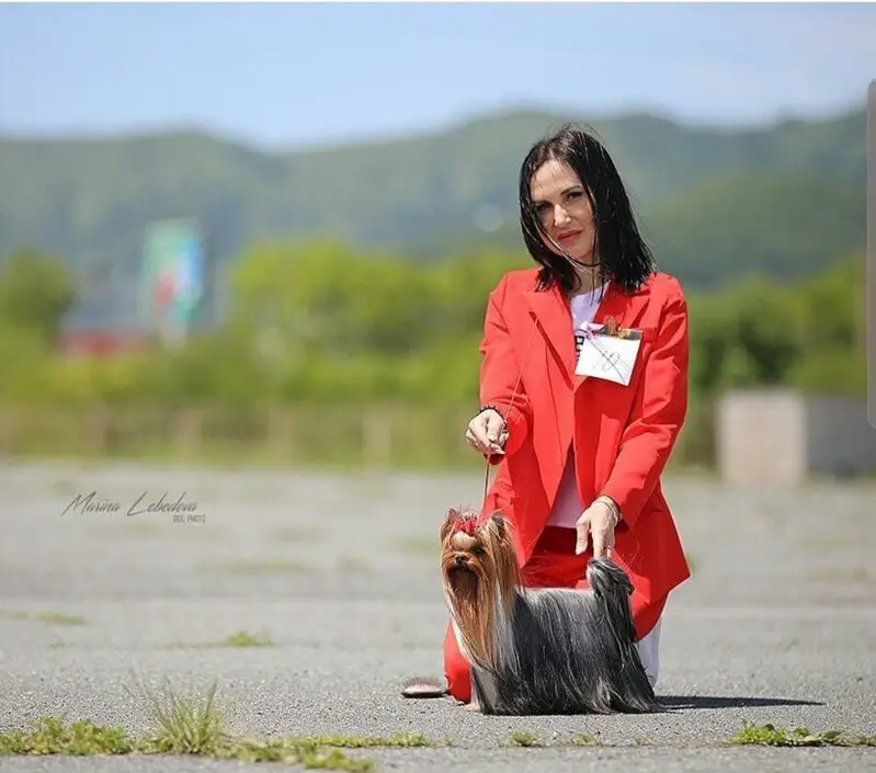 Зооцентр Академия