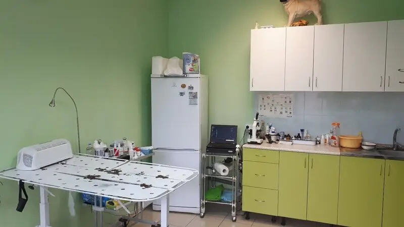 Котэ, ветеринарная клиника