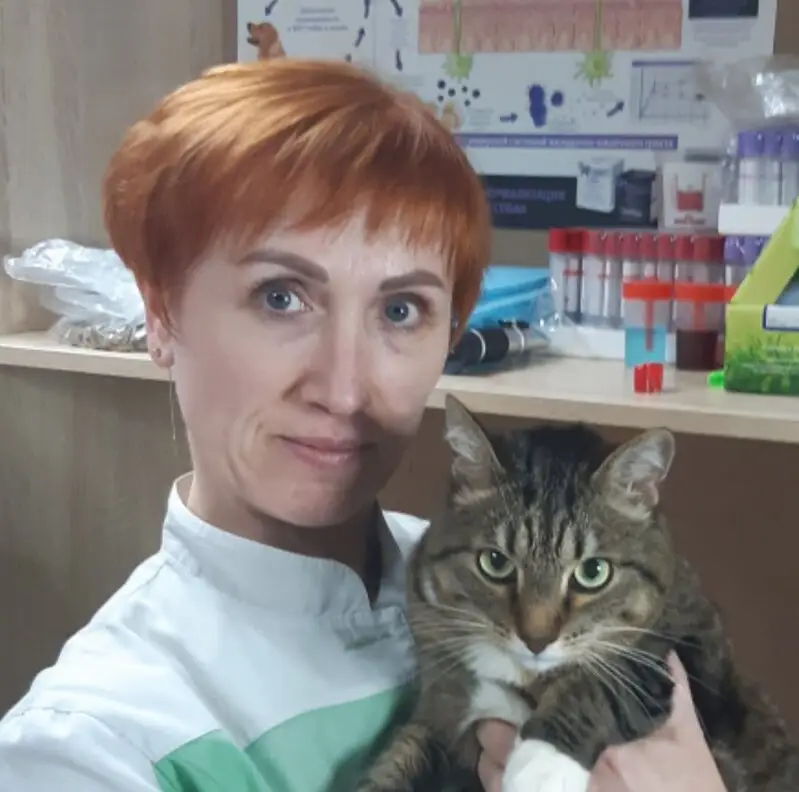 Ветеринарная клиника Black cat