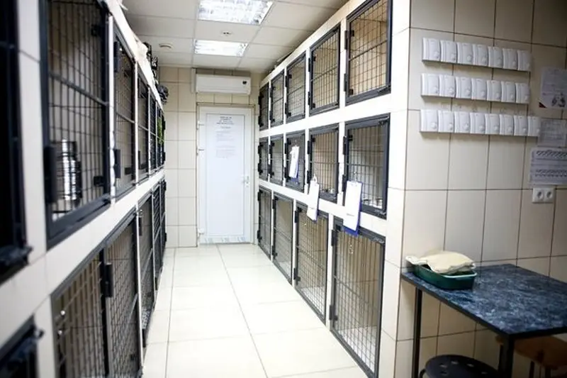 Дарвин, ветеринарный центр