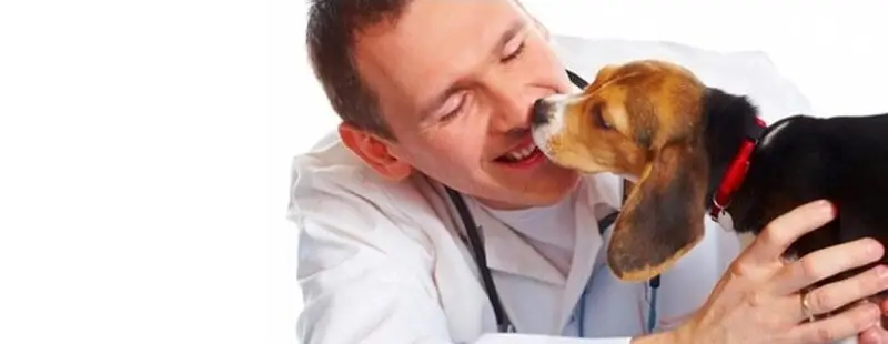 Ветеринарная клиника № 1