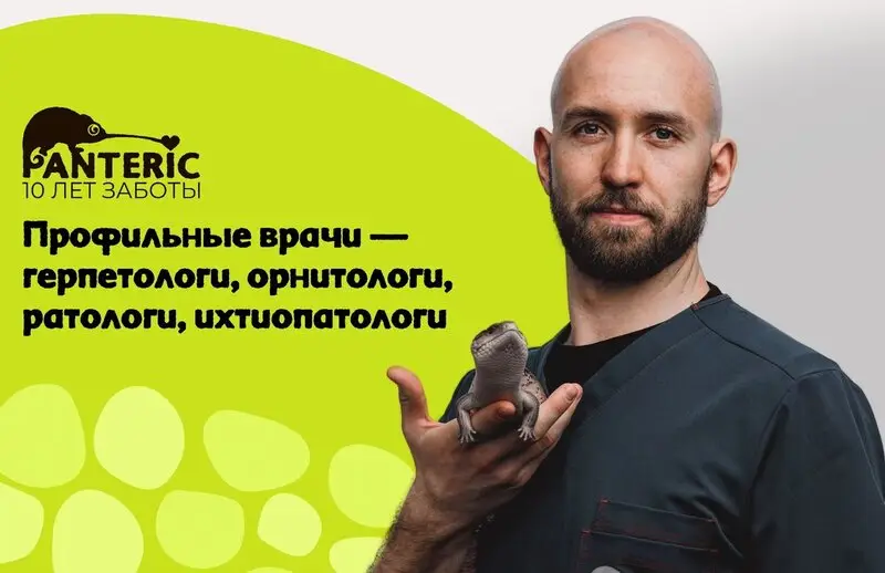 Пантерик, ветеринарный центр