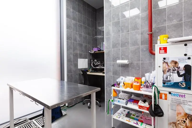 Volchok, ветеринарная клиника